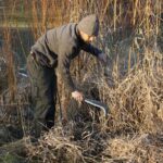 man with a billhook standing in a wetland with willows